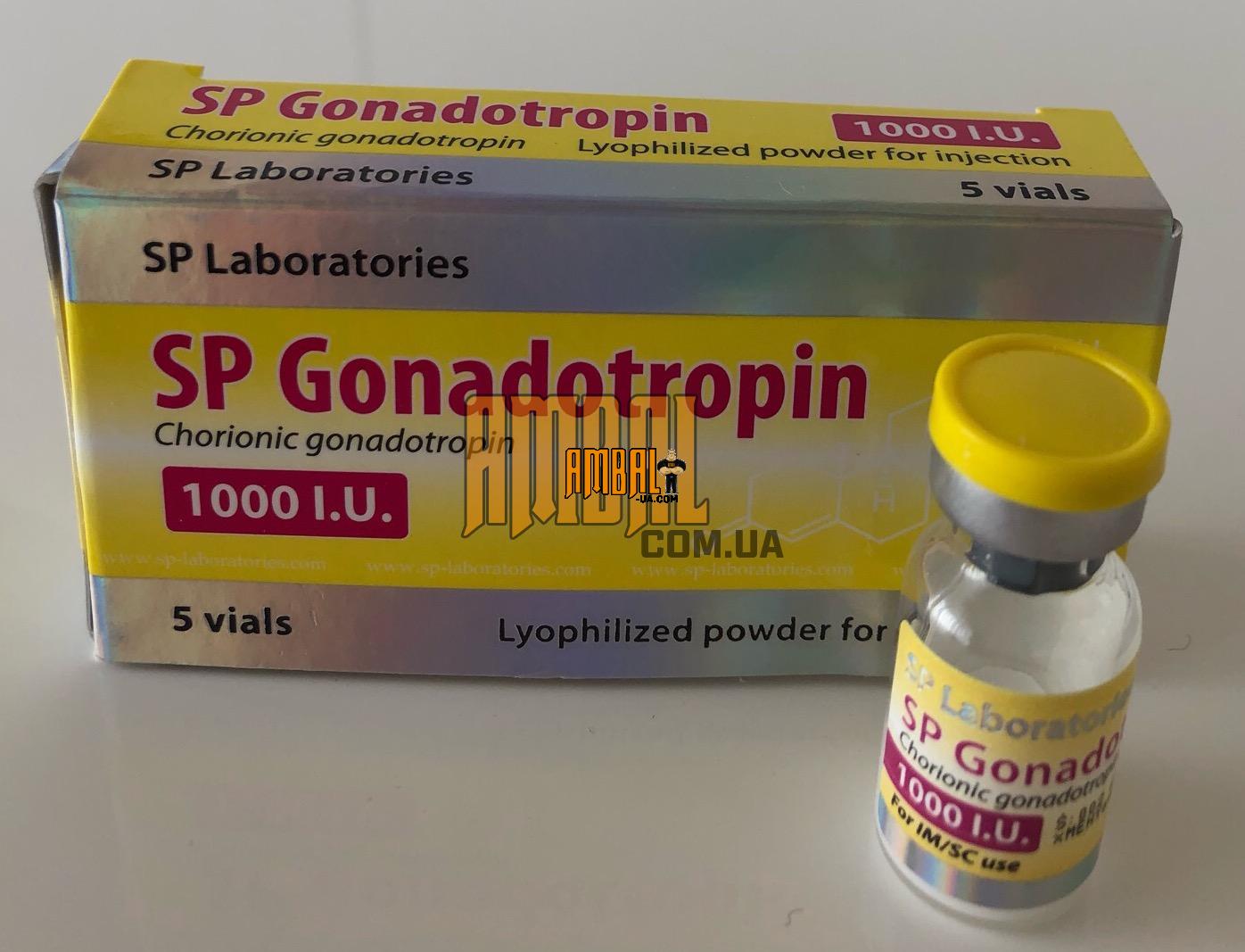 0EFB39A0-C721-4FE7-9E55-7D7F91E1D322_2019-04-03_20-38-43 SP Gonadotropin 1000