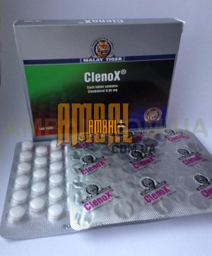 Malay Tiger clenox