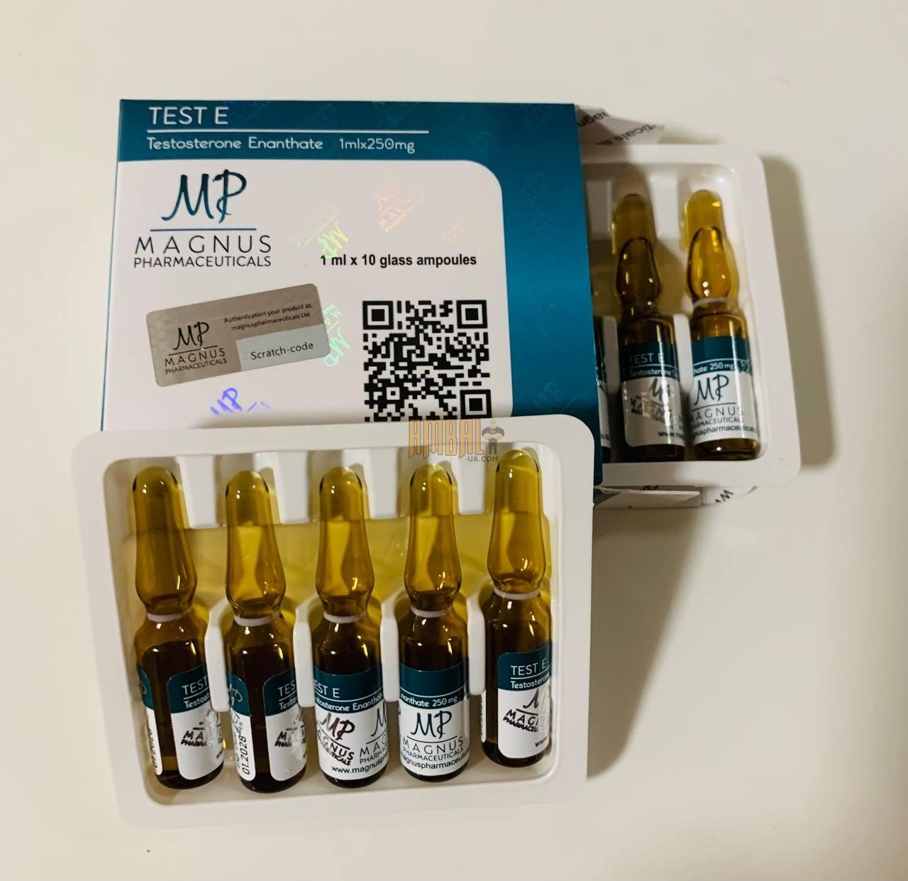 TEST ENANTHATE 1ml 250mg Magnus TEST ENANTHATE 1ml 250mg Magnus