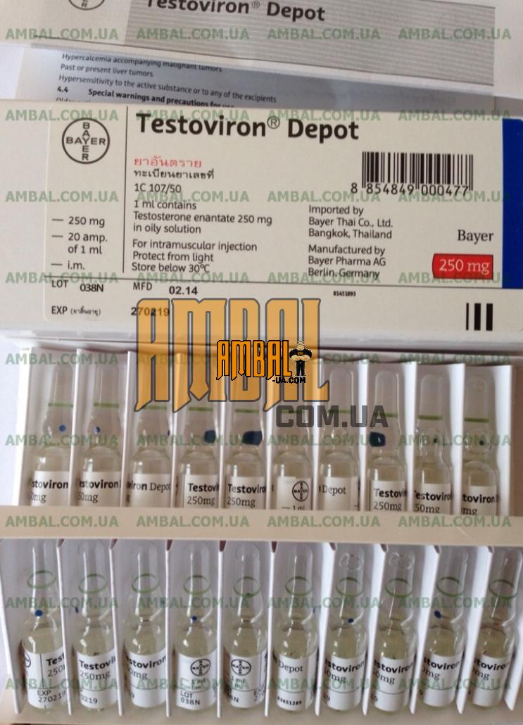 TESTOVIRON-DEPOT-BAYER-1ml250mg-(enantat) TESTOVIRON DEPOT BAYER