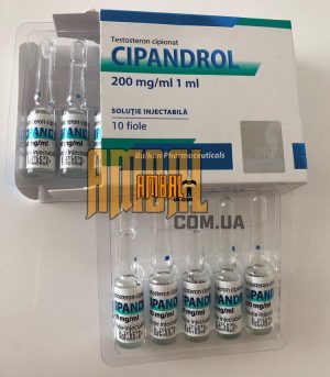 Testosterone cypionate 1ml 200mg Balkan