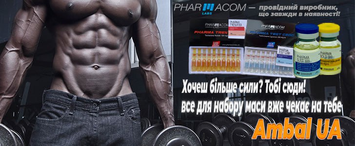 Головна 3 slide https://www.test.ambalua.co/wp-content/uploads/2024/11/test.ambalua.co_.jpg